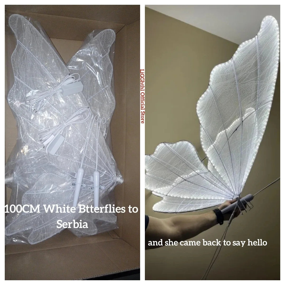 Butterfly LED Wedding Ceiling Lights